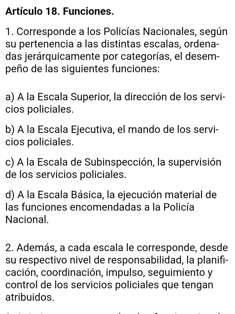 La perrikotaberna tweet media