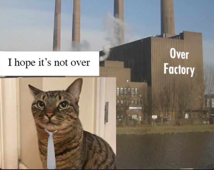 Mr Olu & The Big Steppers tweet media