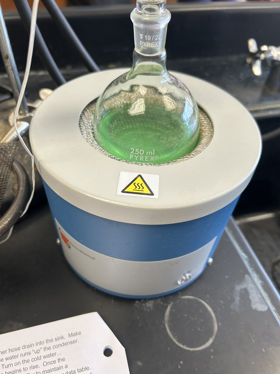 LOREN GERSH 📞🪦🎶 tweet media