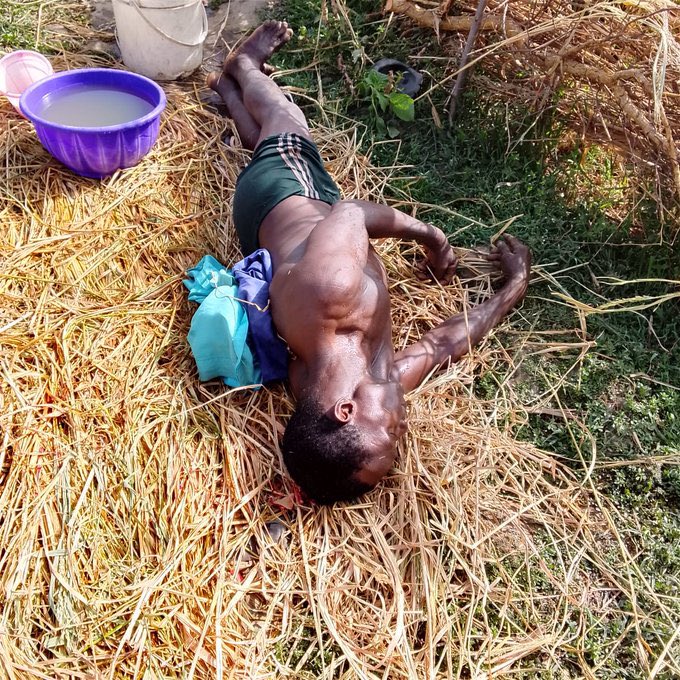 $ULTAN☠️𝕏 tweet media