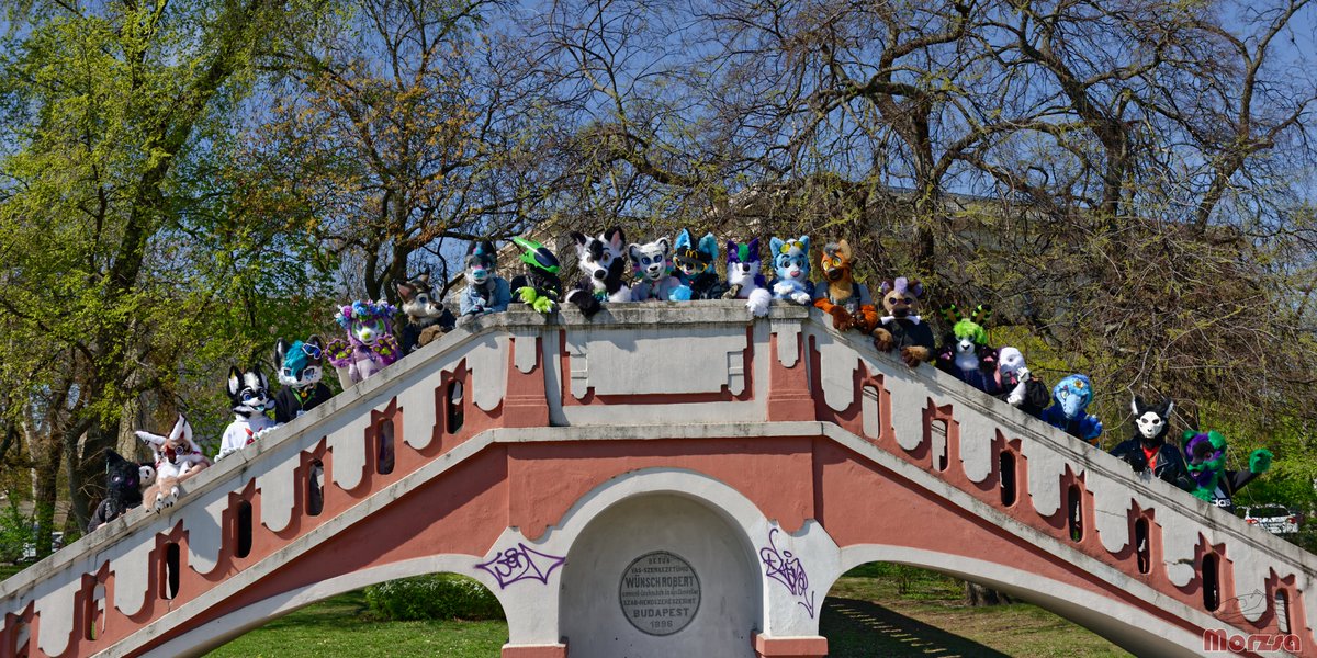 Lime Dev tweet media