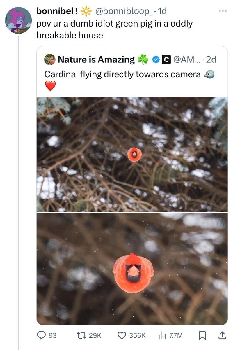 dinosaur tweet media