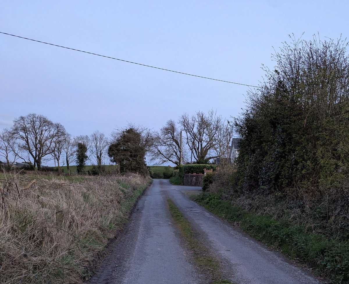 LharaMullins's tweet image. There isn't a thing in the world as good for the head as an hour long walk..  with a good true crime podcast! 

Hope everyone had a good day. 

#walk #Wellbeing