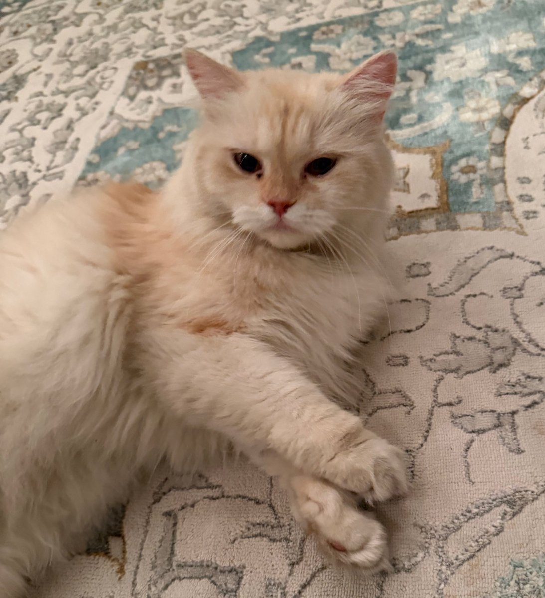 ‏ten thousand BC tweet media