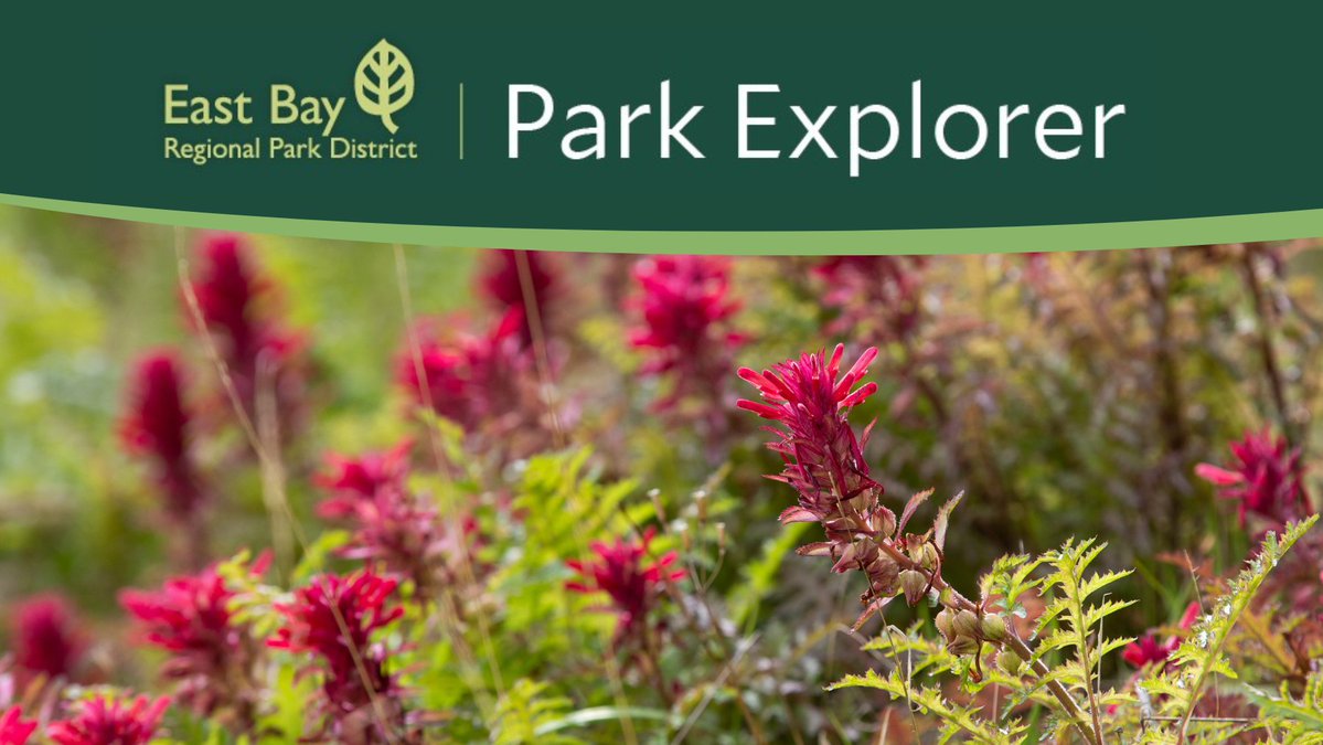 East Bay Regional Park District tweet media