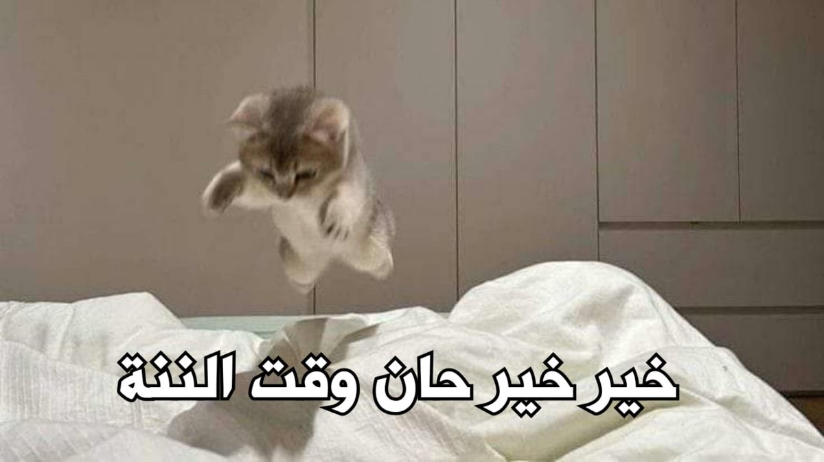 egymeme11's tweet photo. https://t.co/BWPXT9wyVm