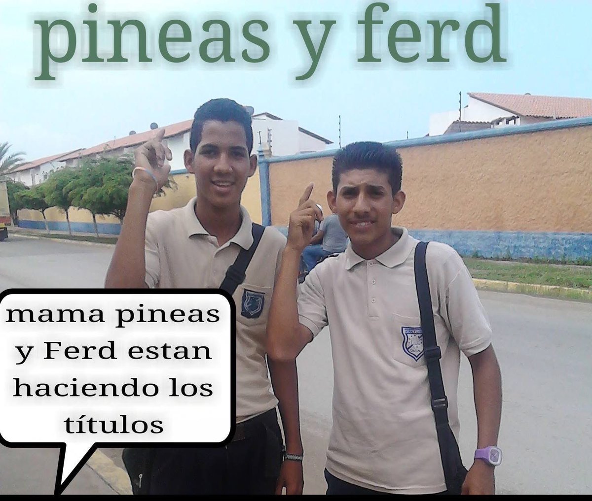 Me aniquiló este meme