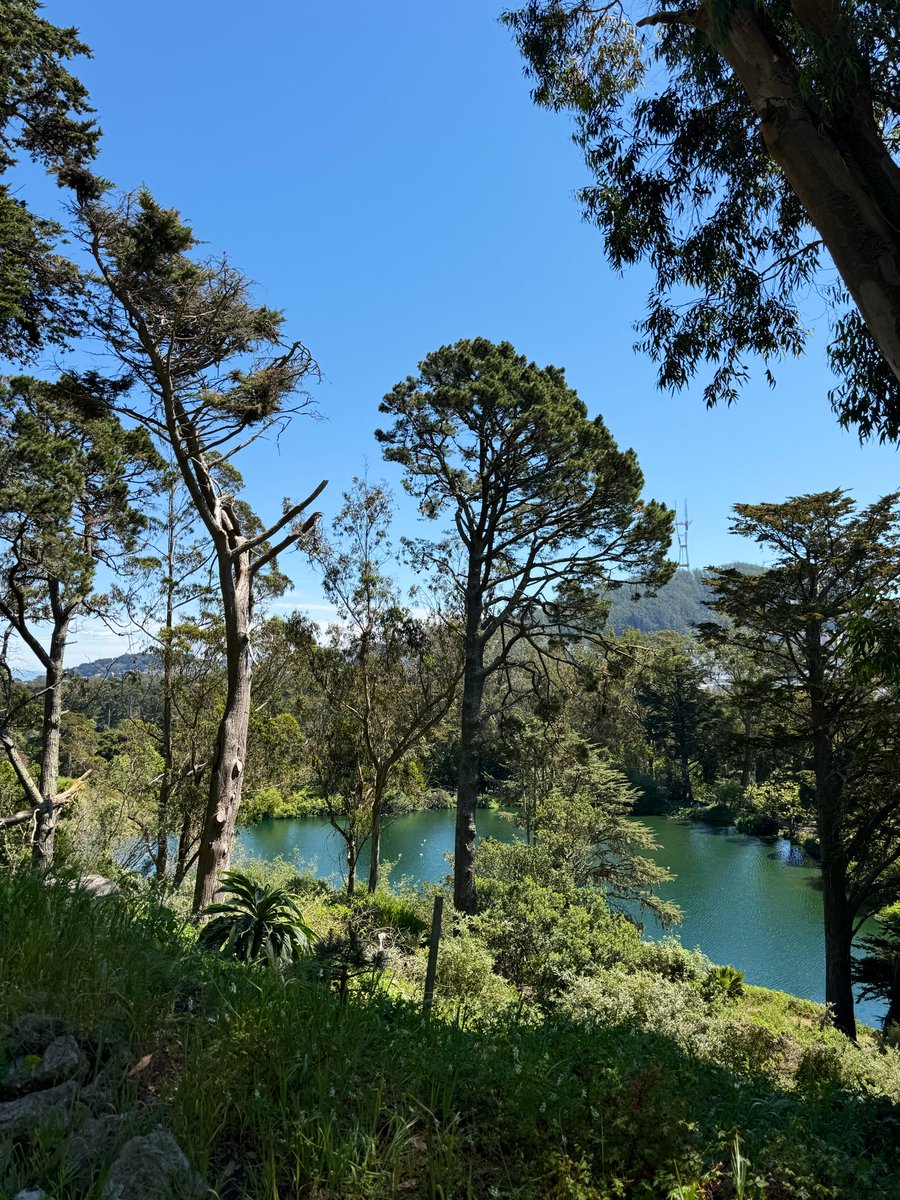 Marshall Cherrington tweet media