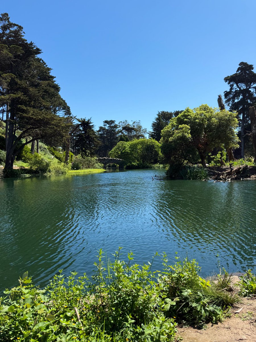 Marshall Cherrington tweet media