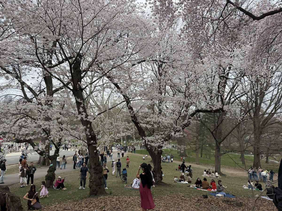 シェリーめぐみ GENZ-NYC.com tweet media