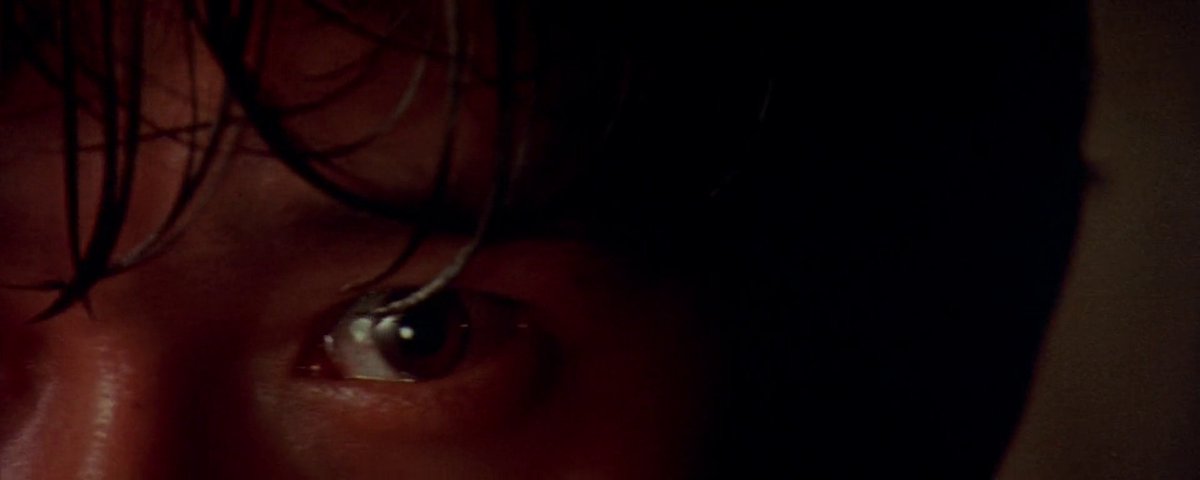 the cinema fella tweet media