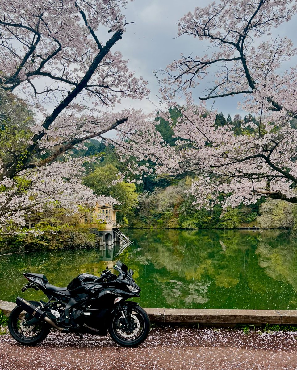 saorin🫧 tweet media