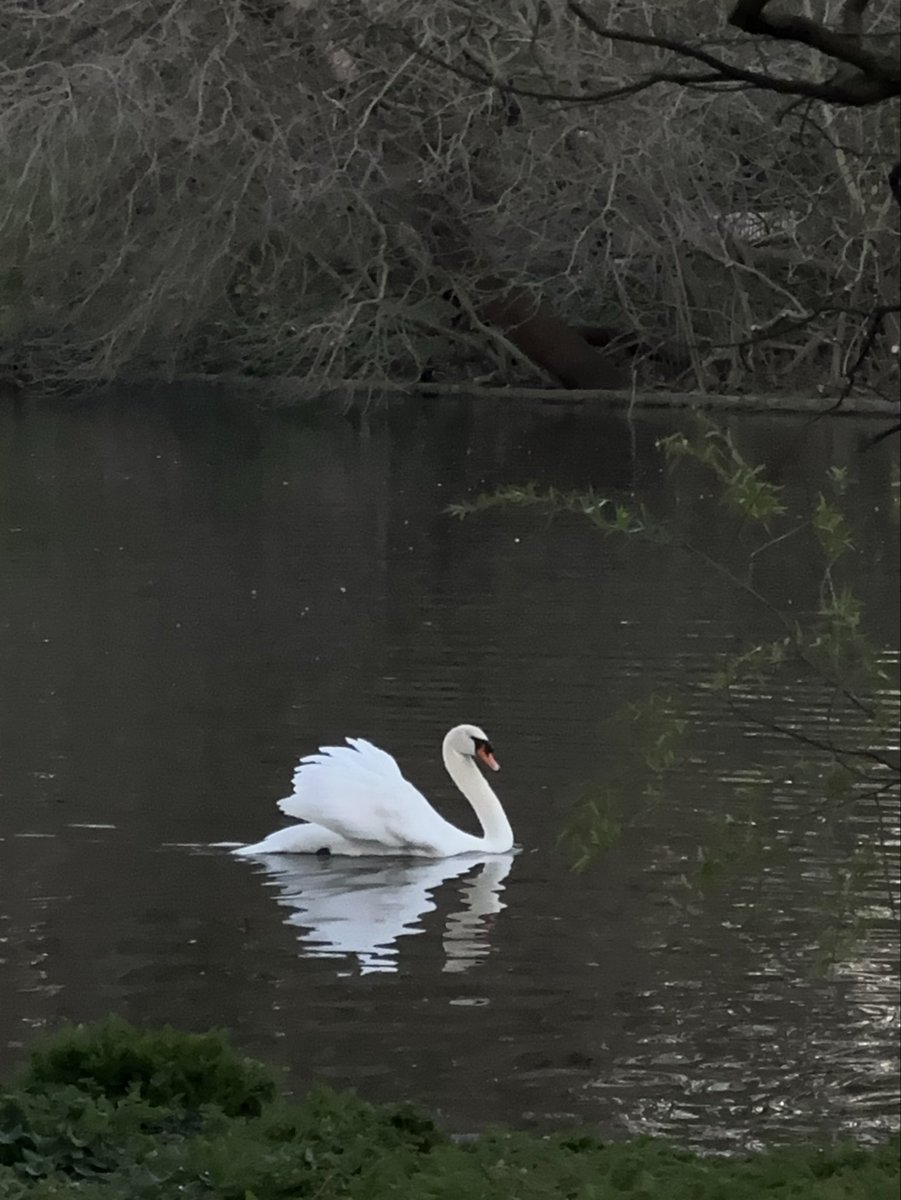 mushell™ 🪩 tweet media