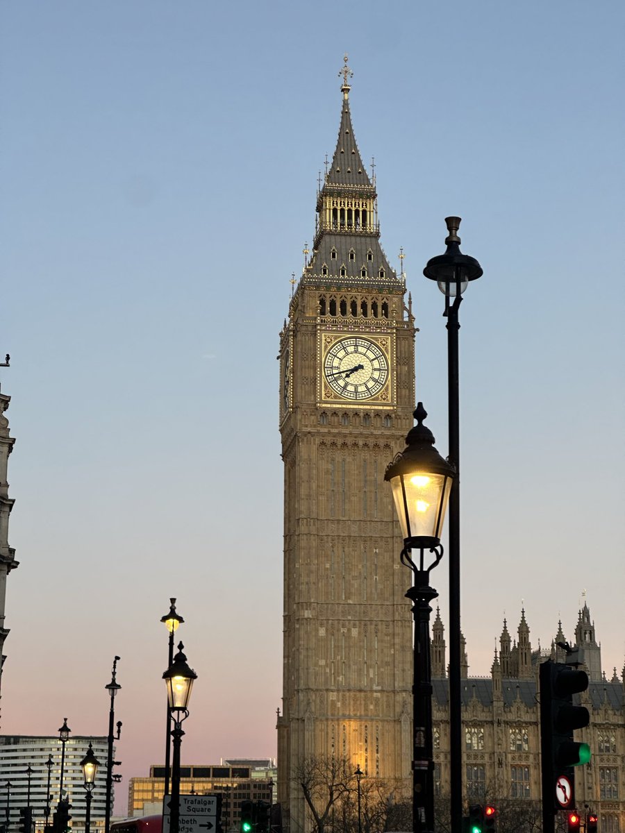 mushell™ 🪩 tweet media