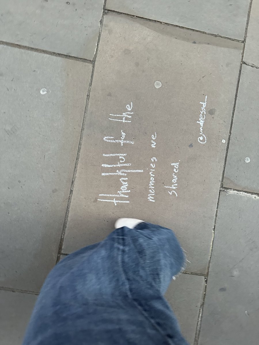 mushell™ 🪩 tweet media