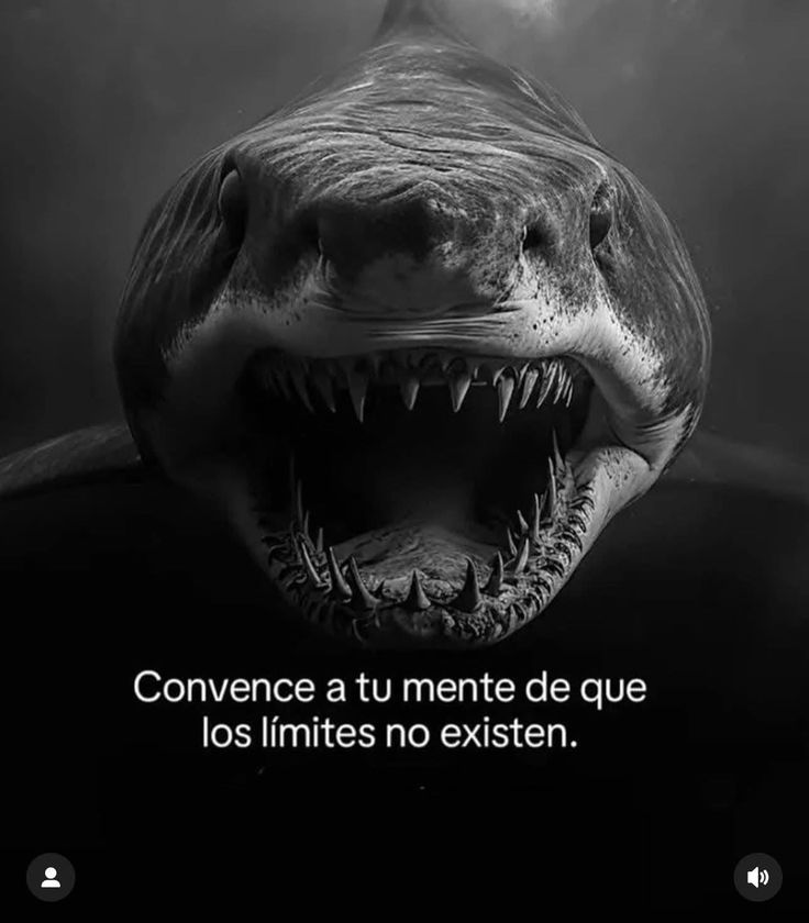 Mind Climb 👽 (@mindclimb25) on Twitter photo 