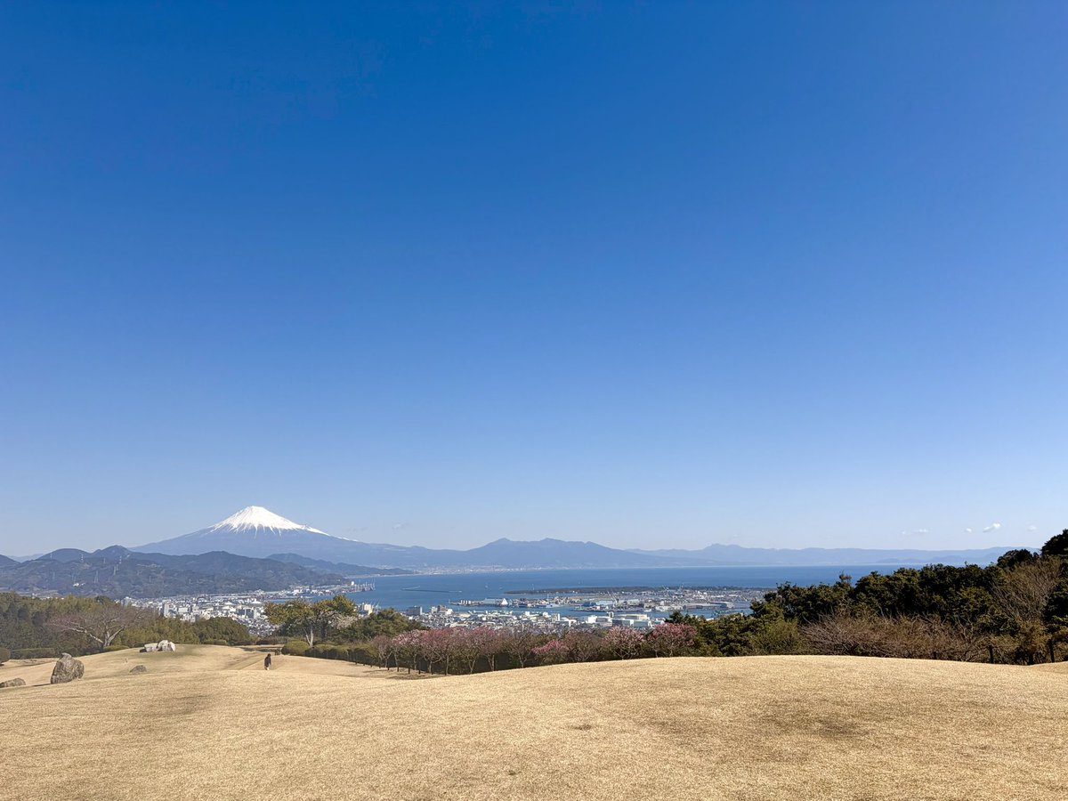 🐰てむち🌧️iito1stモデル tweet media