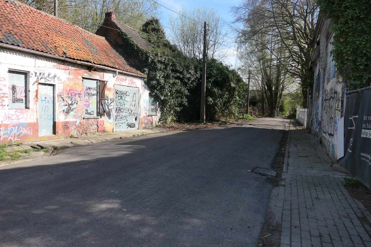 Irene de Bree tweet media