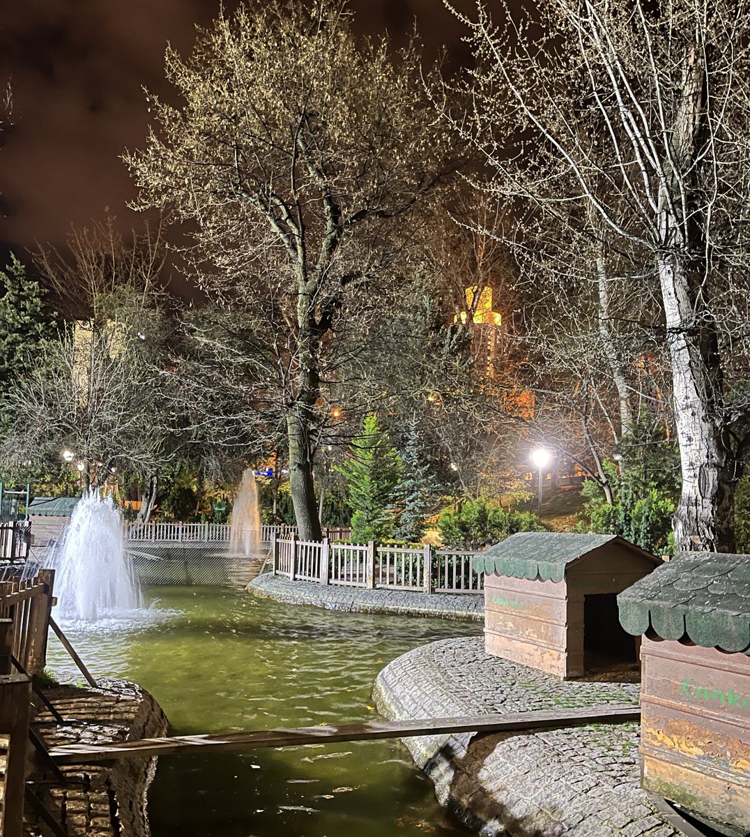 AkbulutTanr's tweet image. Gündüzün aksine bu saatlerde öyle tenha ,sakin ve dingin oluyor ki;
Meditasyon için #kuğulu diyorum..
#iyiki #Ankara ❤️