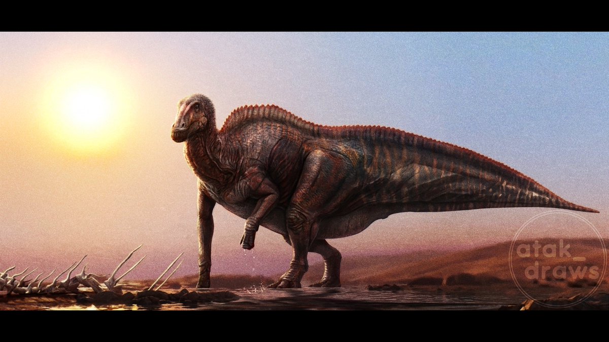 ThePaleoLad tweet media