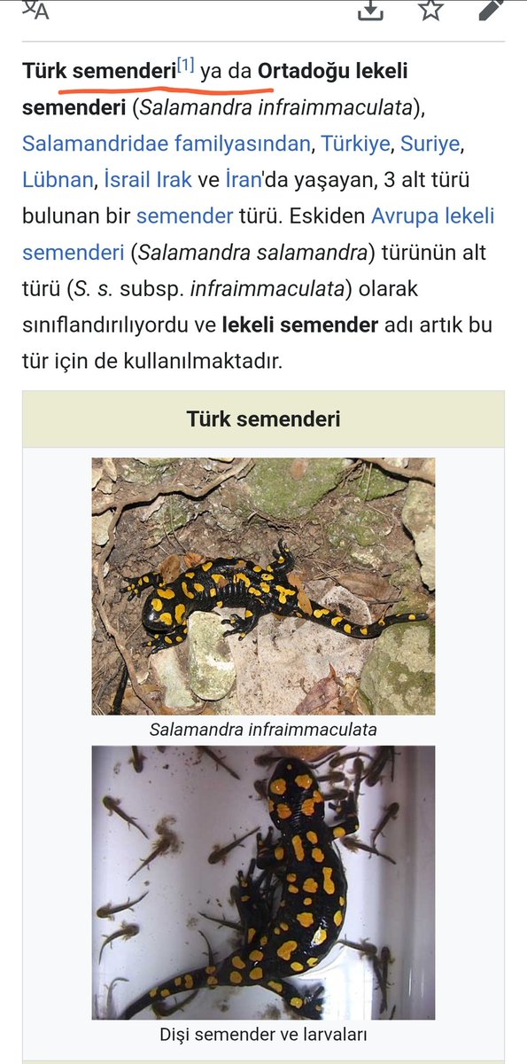 Bulaşık Makinesi tweet media