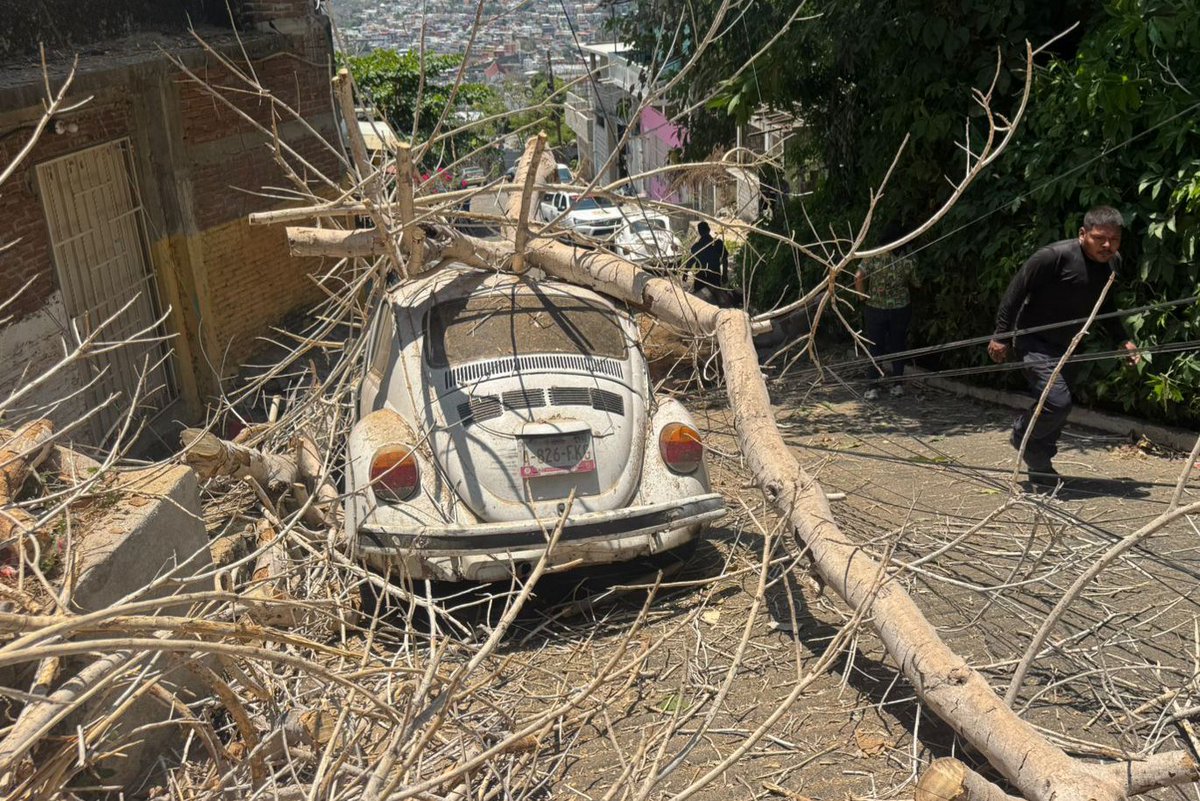 El Sol de Chilpancingo tweet media