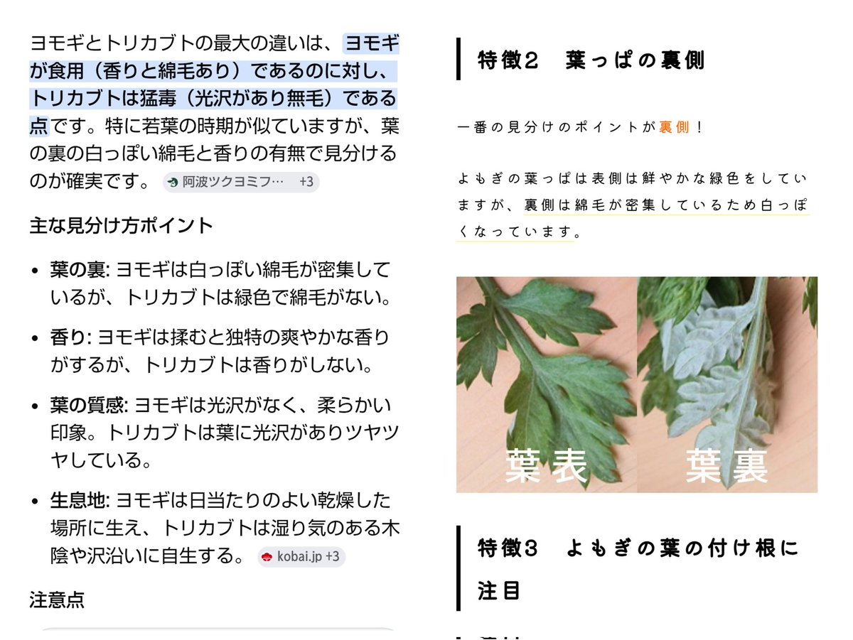 うすみどり tweet media