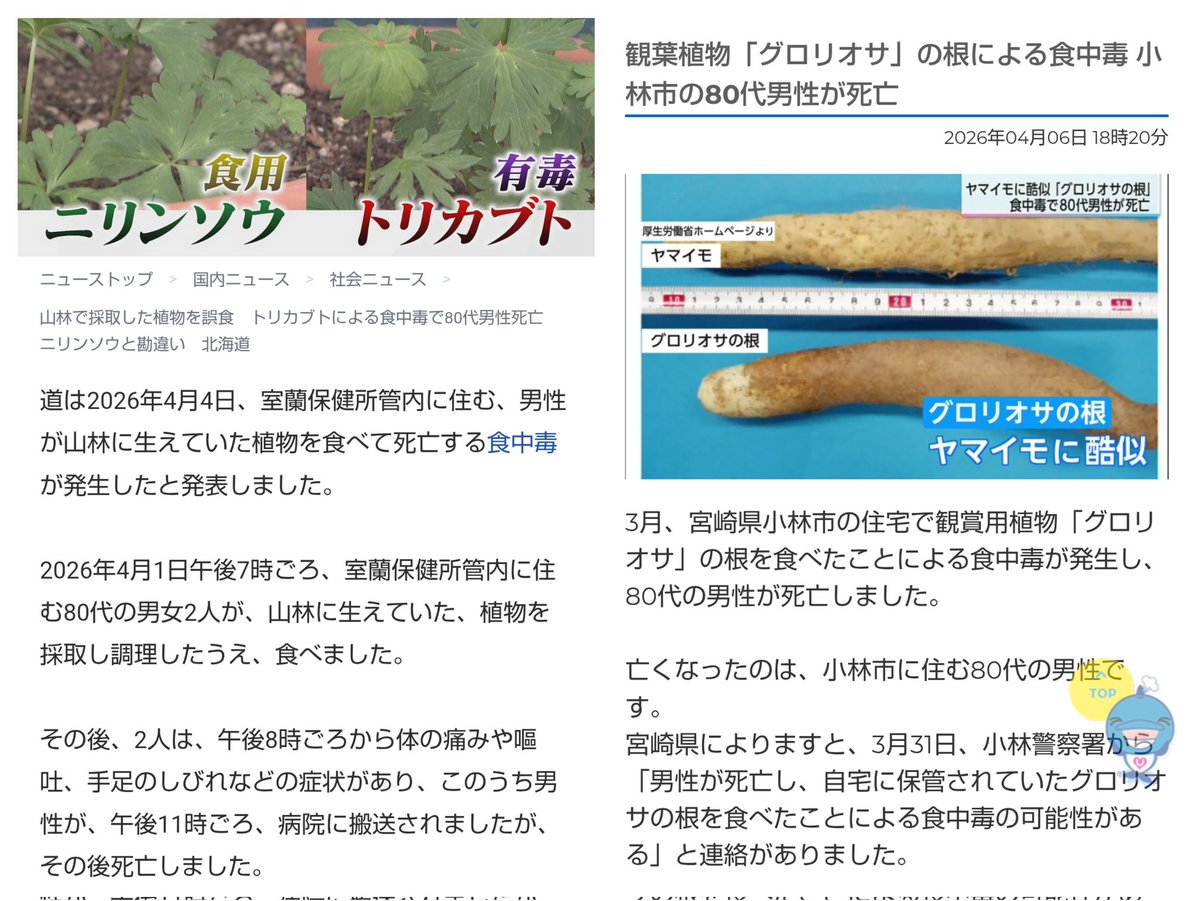 うすみどり tweet media