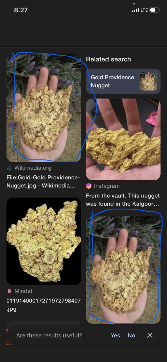 im.amankus tweet media