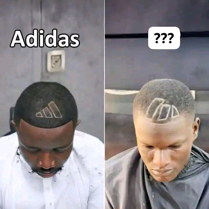 Broddauche tweet media