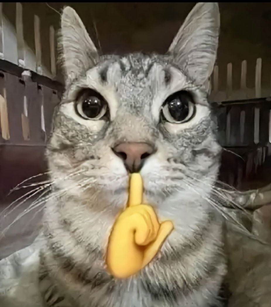 •emo since 2008• tweet media