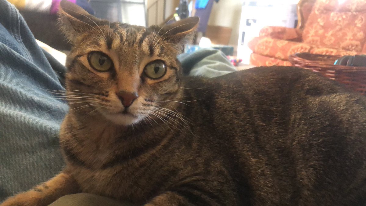 Follo of Sh//edtwt tweet media