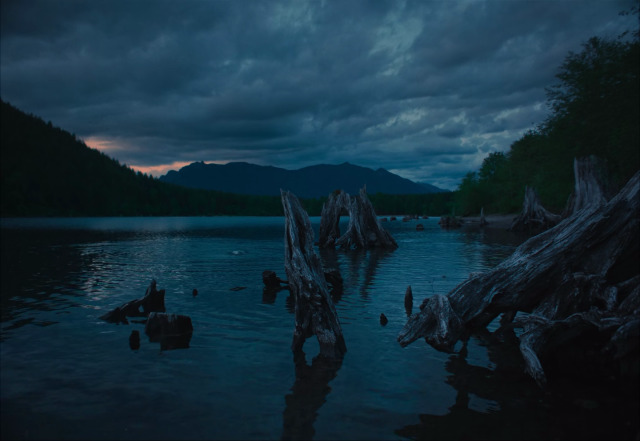 cinesthetic. tweet media