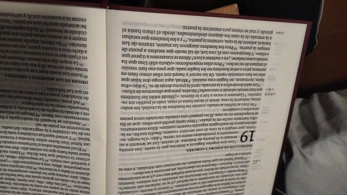 SacreBalduinoIV tweet media