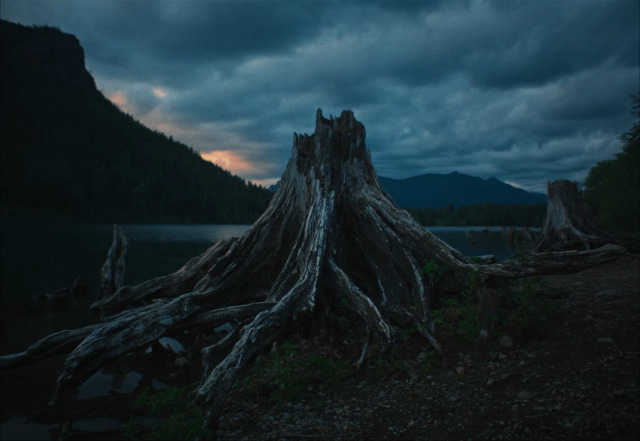 cinesthetic. tweet media