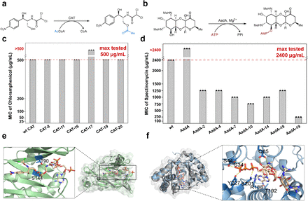 KevinKaichuang's tweet photo. Design enzymes using a model that generates sequence and structure given the substrate as a ligand. 

@ZhenqiaoSong @lileics https://t.co/ZI5p4uBFCx