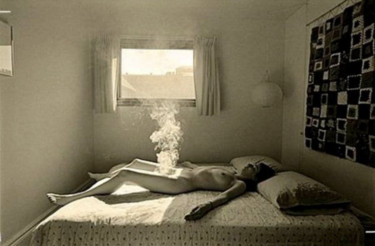 Smut Lisa 🇨🇦🇬🇧🏳️‍🌈 tweet media