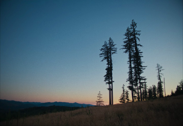 cinesthetic. tweet media