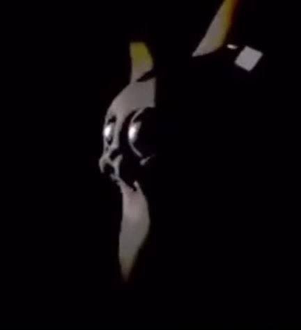 Enraged 8-3 Cerberus tweet media