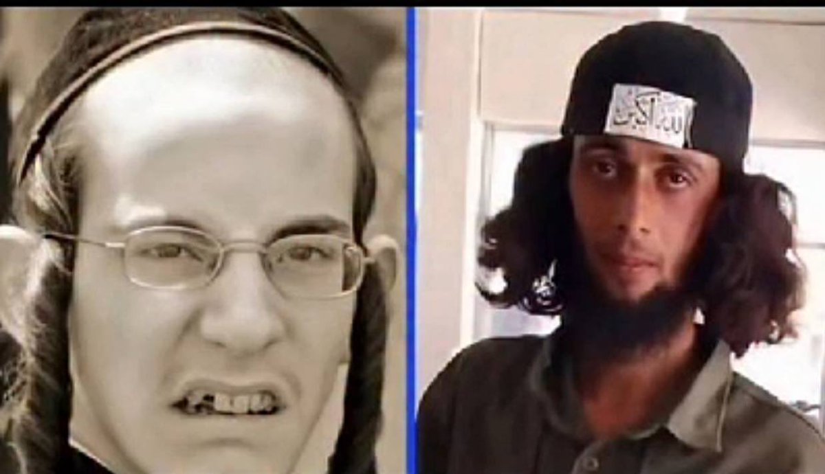 الشاهين 🦅 tweet media