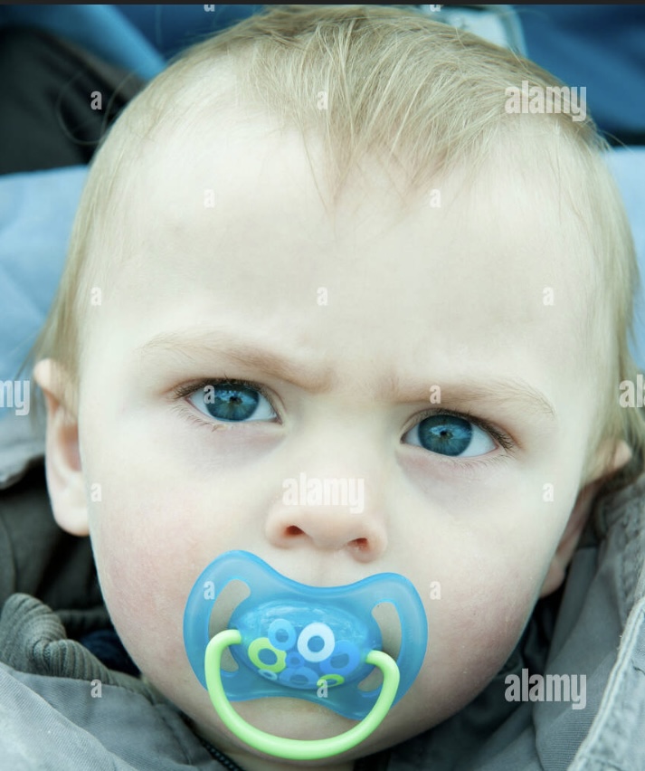 Debbie gorton tweet media