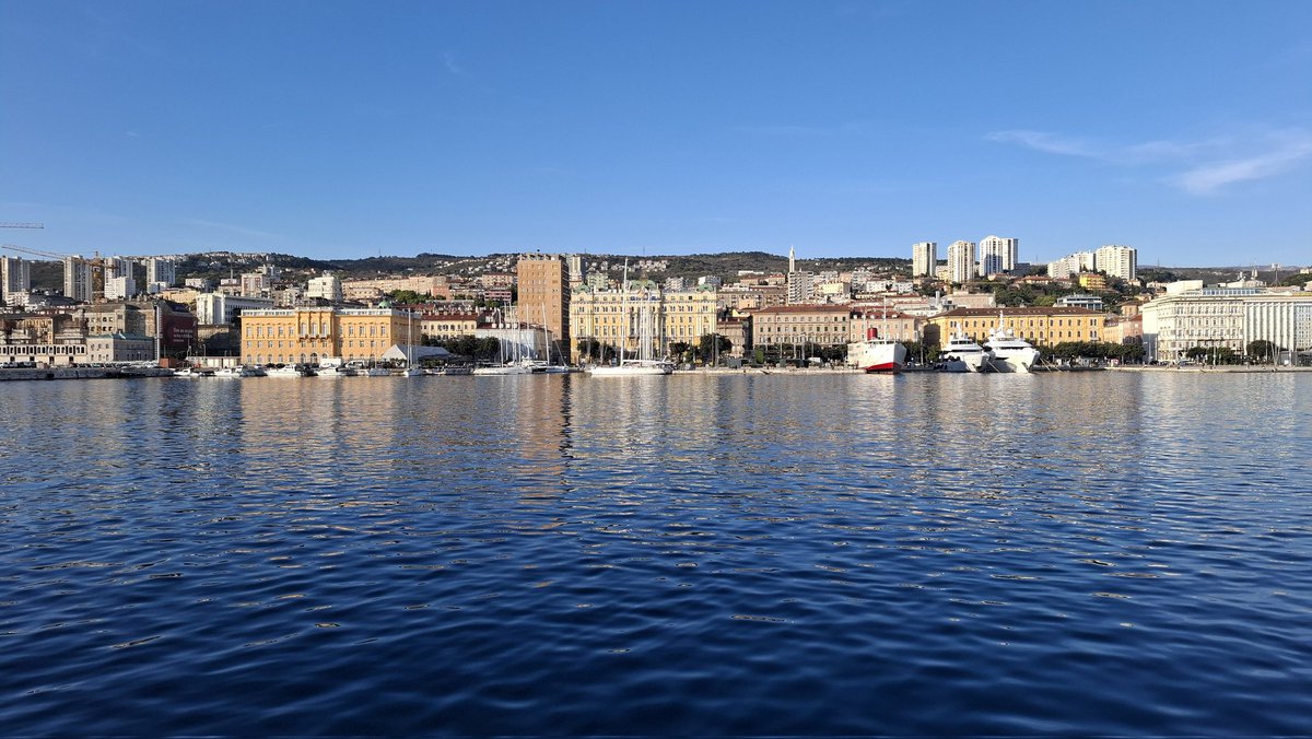 Robert Širola tweet media