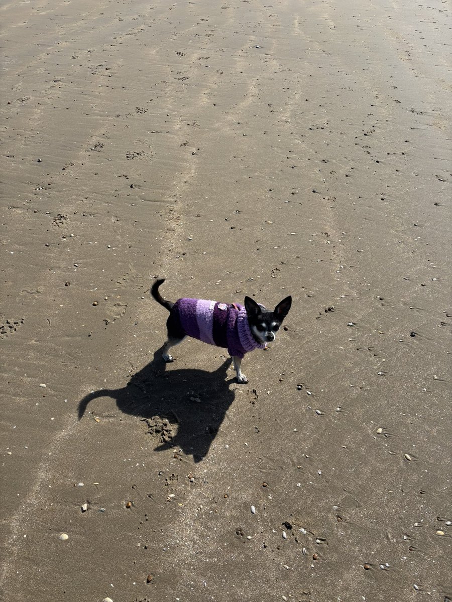 IanCallaway352's tweet image. #EasterMonday at the beach. #CamberSands to be precise.