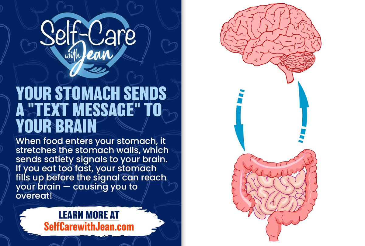 jean_edelman's tweet image. 📲🍽️ Your stomach literally sends a “text message” to your brain when it starts to fill up! 🤯 When food stretches your stomach walls, it sends satiety signals that tell your brain you’re getting full — but only if you slow down. #mindfuleating #brainstomachconnection