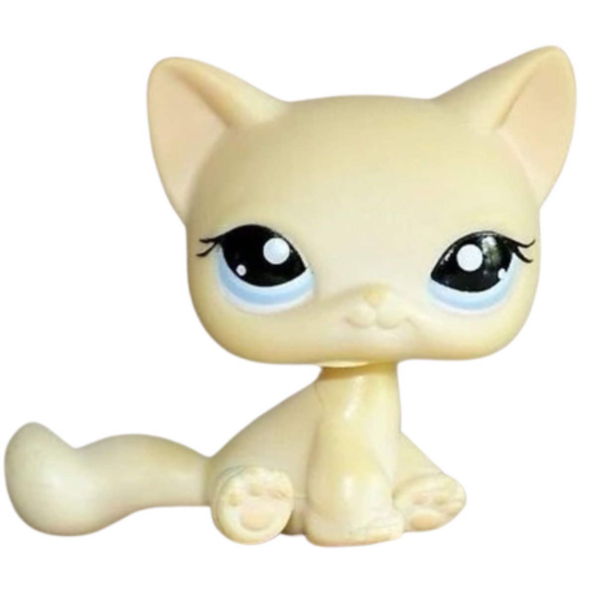 cal gabiel tweet media