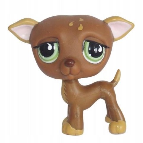 cal gabiel tweet media