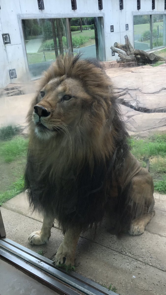 ElanOConnell tweet media