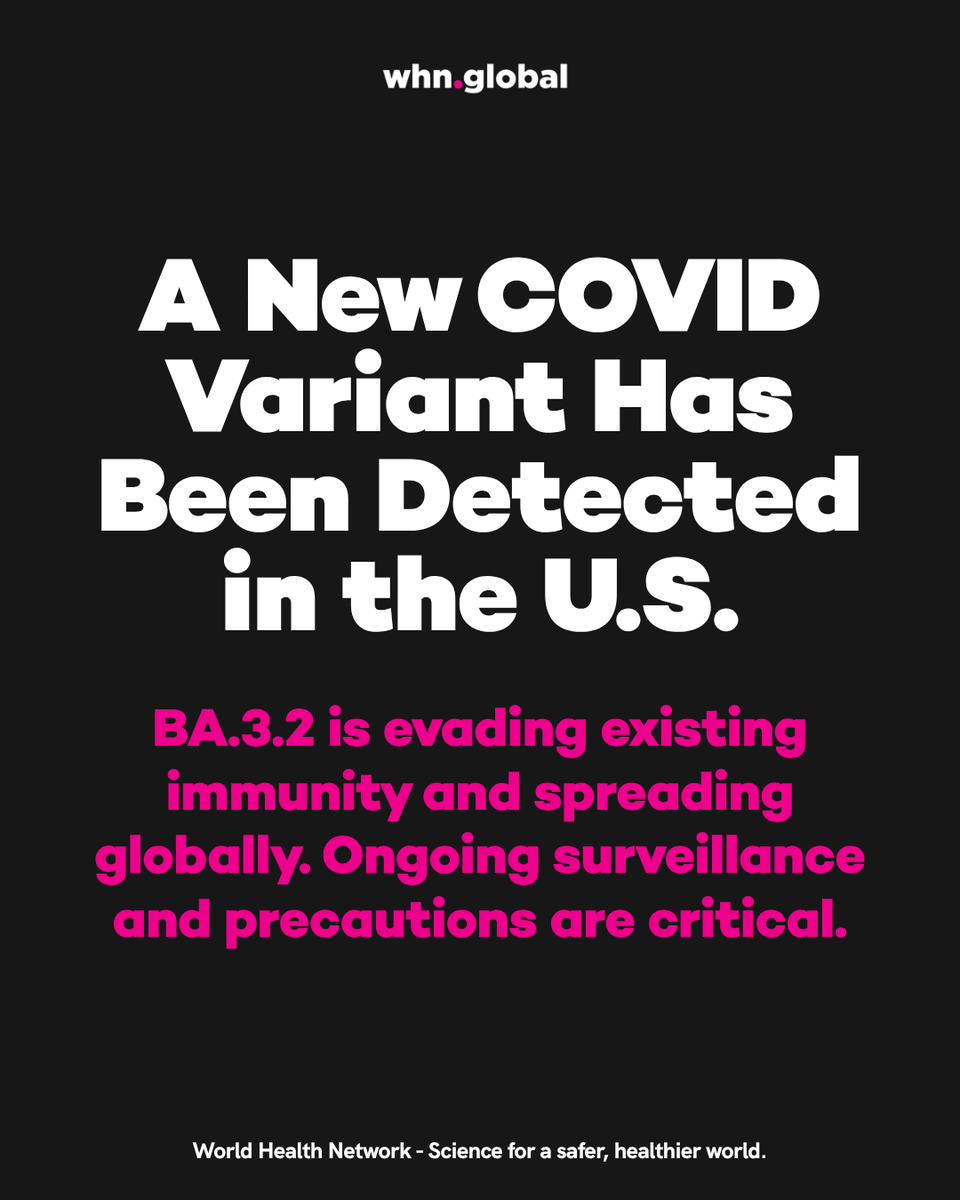 World Health Network tweet media