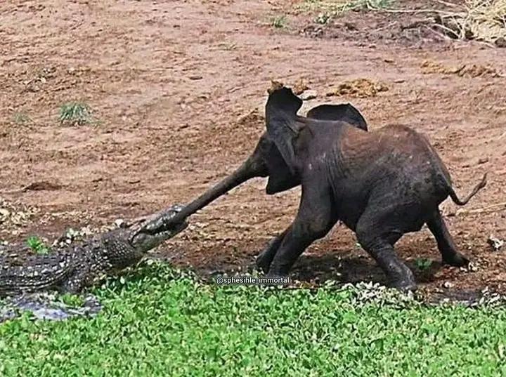 Heis Trusted tweet media