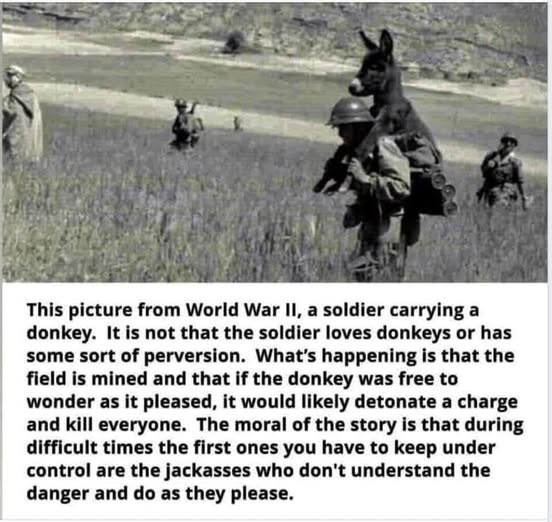 amexem moor tweet media